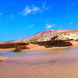 https://spirit-of-costa-calma.hotelsfuerteventura.org